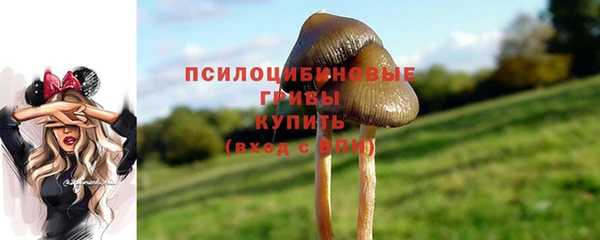спайс Абаза